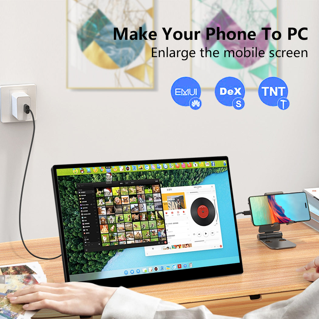 15.6 inch 100%sRGB 4K Touchscreen Monitor for Laptop (MG156-UT02)